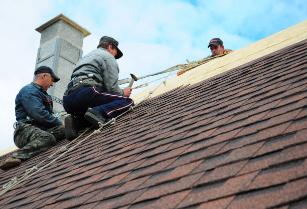 Best Roof Gutter Cleaning  in Wingate, NC